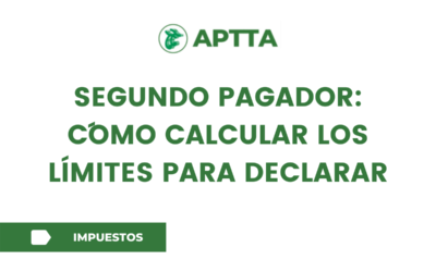 SEGUNDO PAGADOR: CÓMO CALCULAR LOS LÍMITES PARA DECLARAR