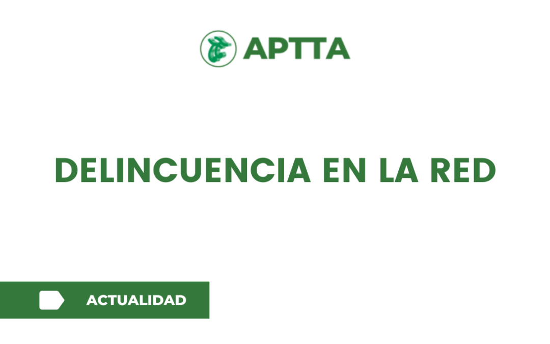 DELINCUENCIA EN LA RED