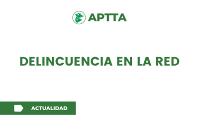 DELINCUENCIA EN LA RED