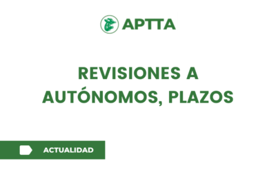 Revisiones a autónomos, plazos