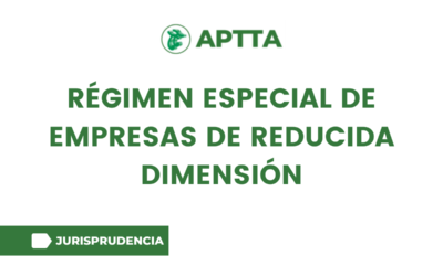 régimen especial de empresas de reducida dimensión