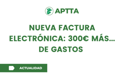 Nueva factura electrónica: 300€ más… de gastos