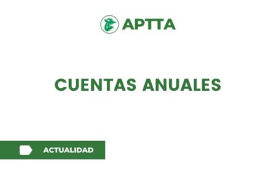 Cuentas Anuales