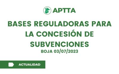 Bases reguladoras para la concesión de subvenciones