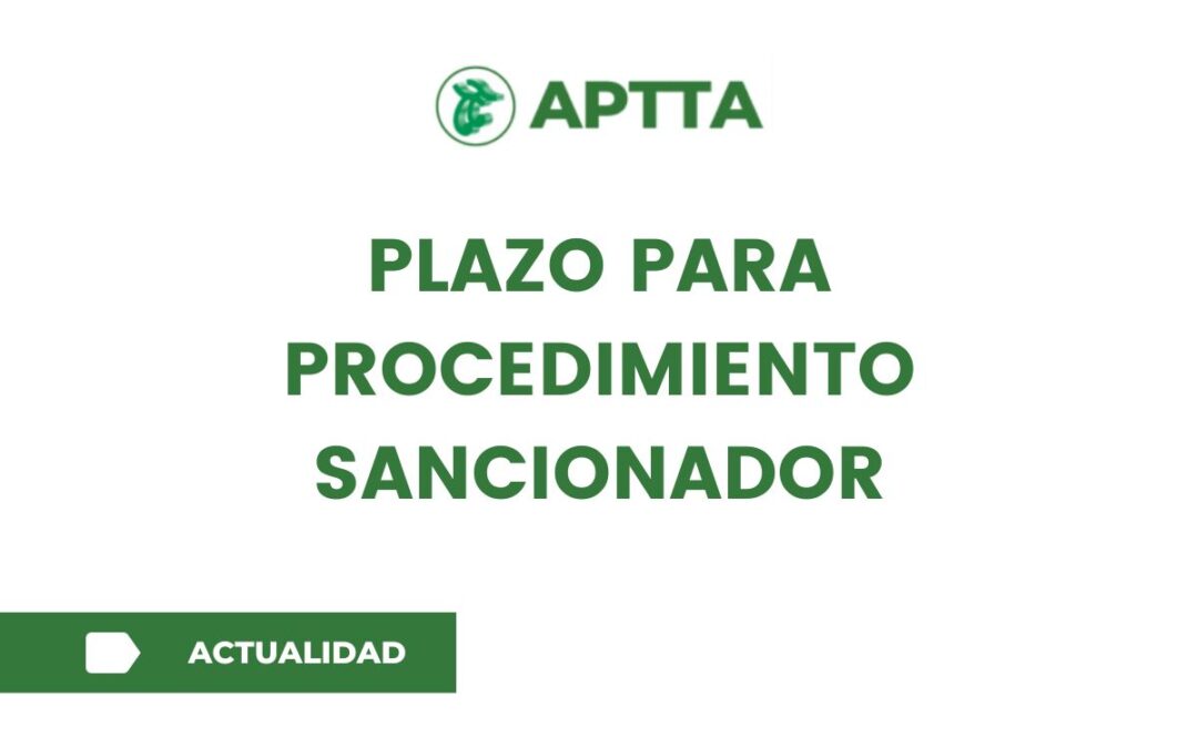 Plazo para procedimiento sancionador
